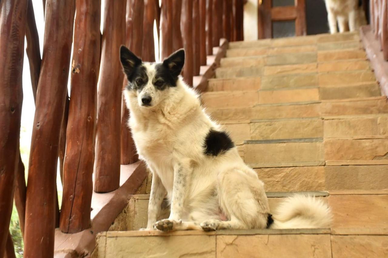 Merinja Guest House Naivasha Kültér fotó